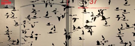 Flock, 2004, Cover of Small Axe 37